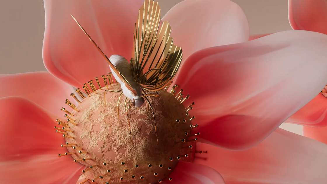 Motion 3D – Butterfly