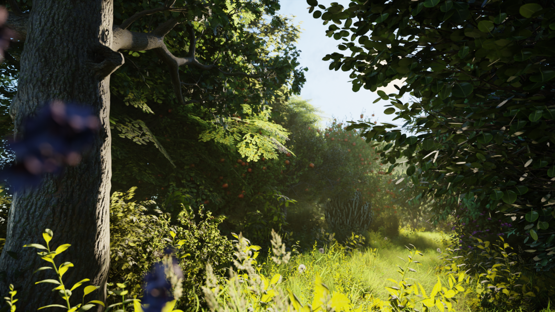 Vidéo sur plan – Forêt de Champlante